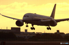 朝焼けの空から✈787
