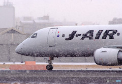 白銀の世界・JA250J