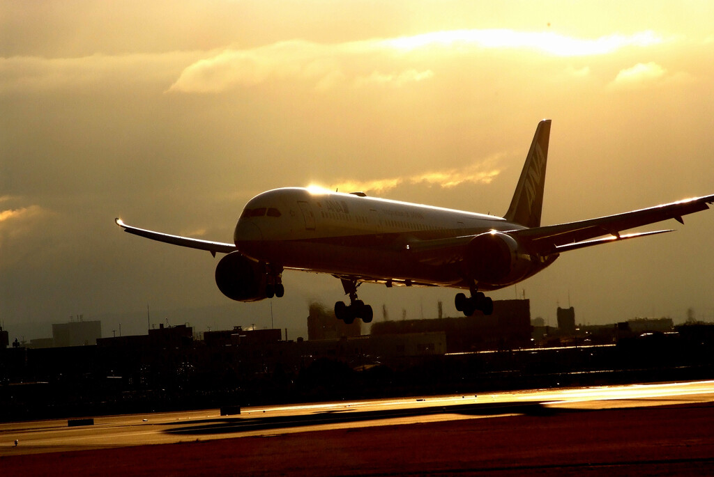 Beautiful Season★Boeing787-9