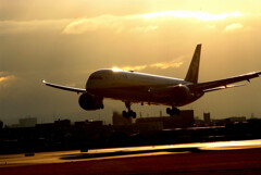 Beautiful Season★Boeing787-9