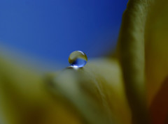 如月の惑星・雫（Ⅹ）