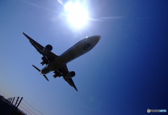 翼を広げて・2019