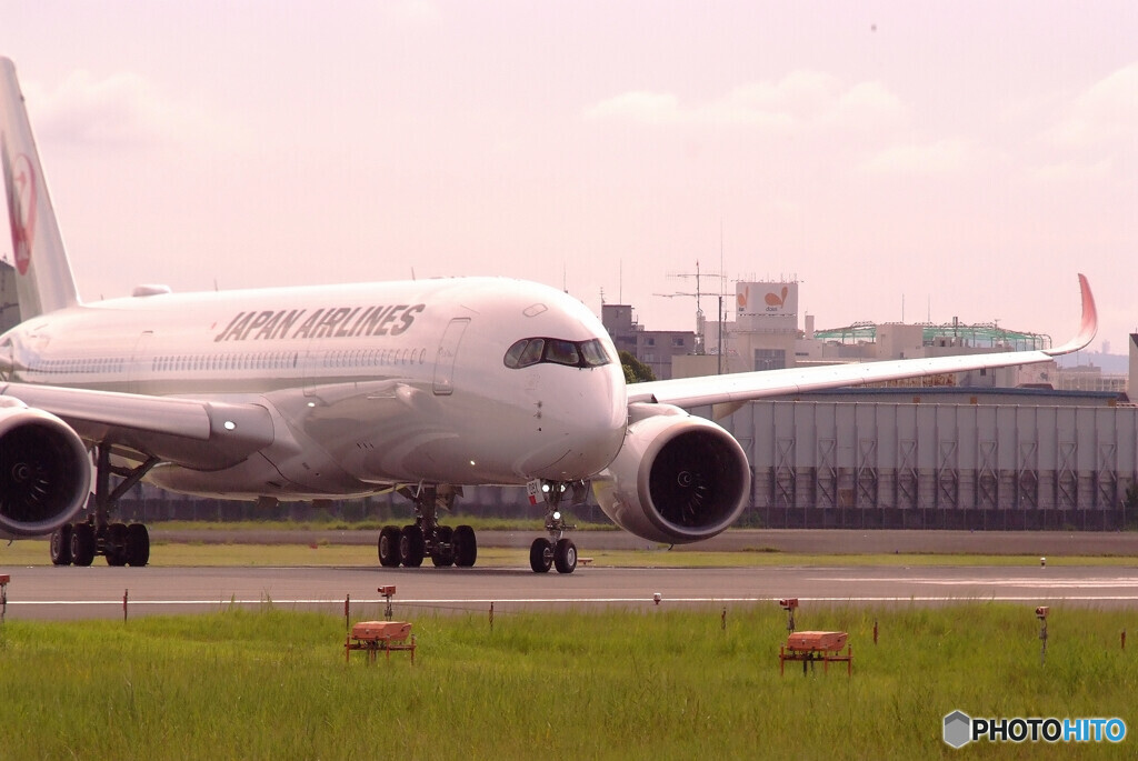 日本の翼✈JAL Airbus A350