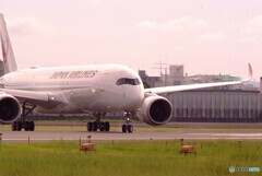 日本の翼✈JAL Airbus A350