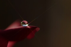 睦月の閃光✿時