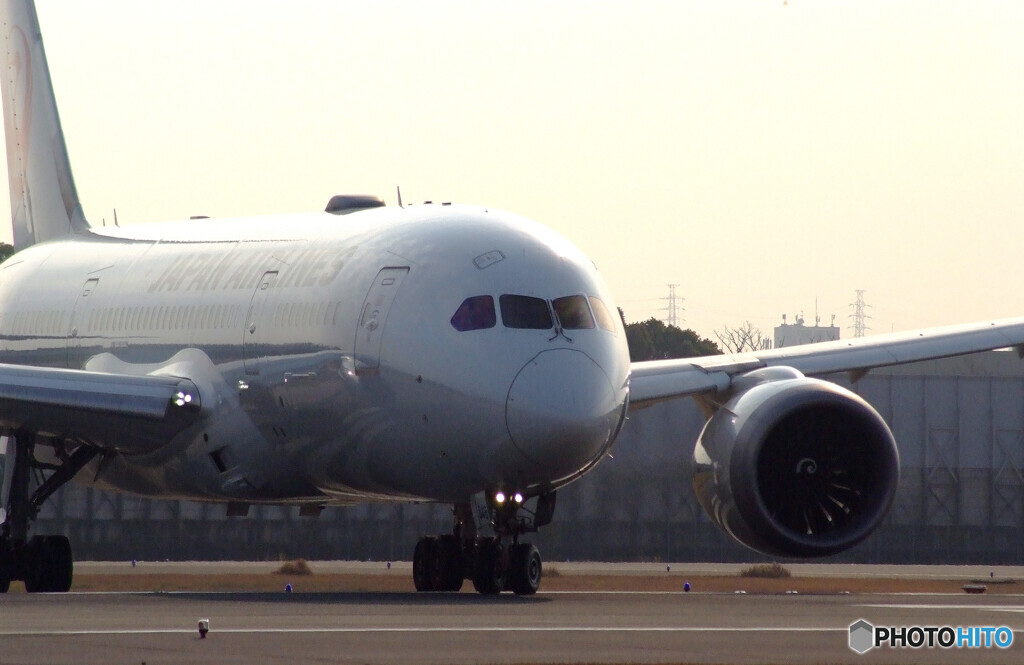 SKYLANDの朝✈Boeing 787-8