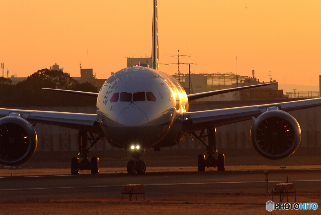 2月の旅人Ⅶ✈Boeing 787-9Dreamliner