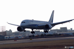 SkyLand HARADA✈Boeing787-8