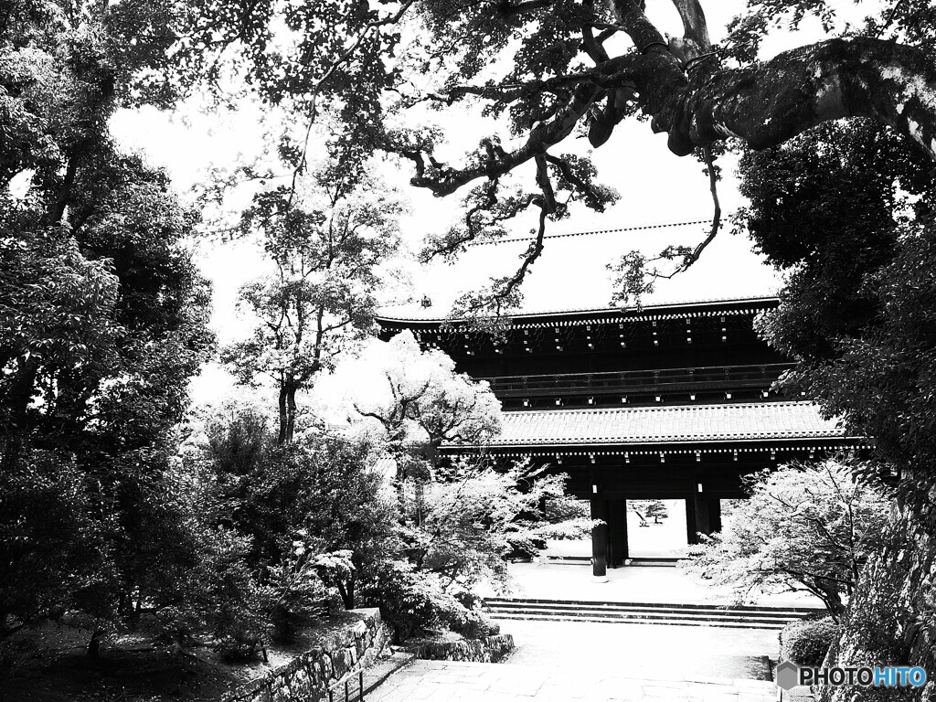 猛暑の夏・古都