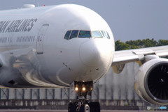 Portrait of white・777