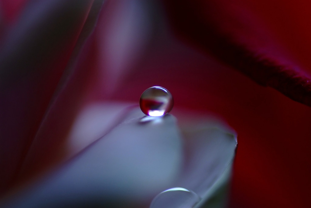 ０(ゼロ)の世界Ⅲ・雫