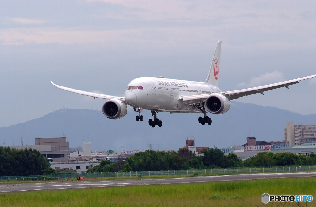 Endless SummerⅤ✈JA847J