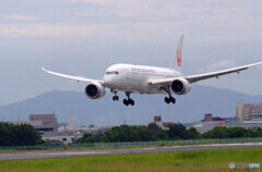 Endless SummerⅤ✈JA847J