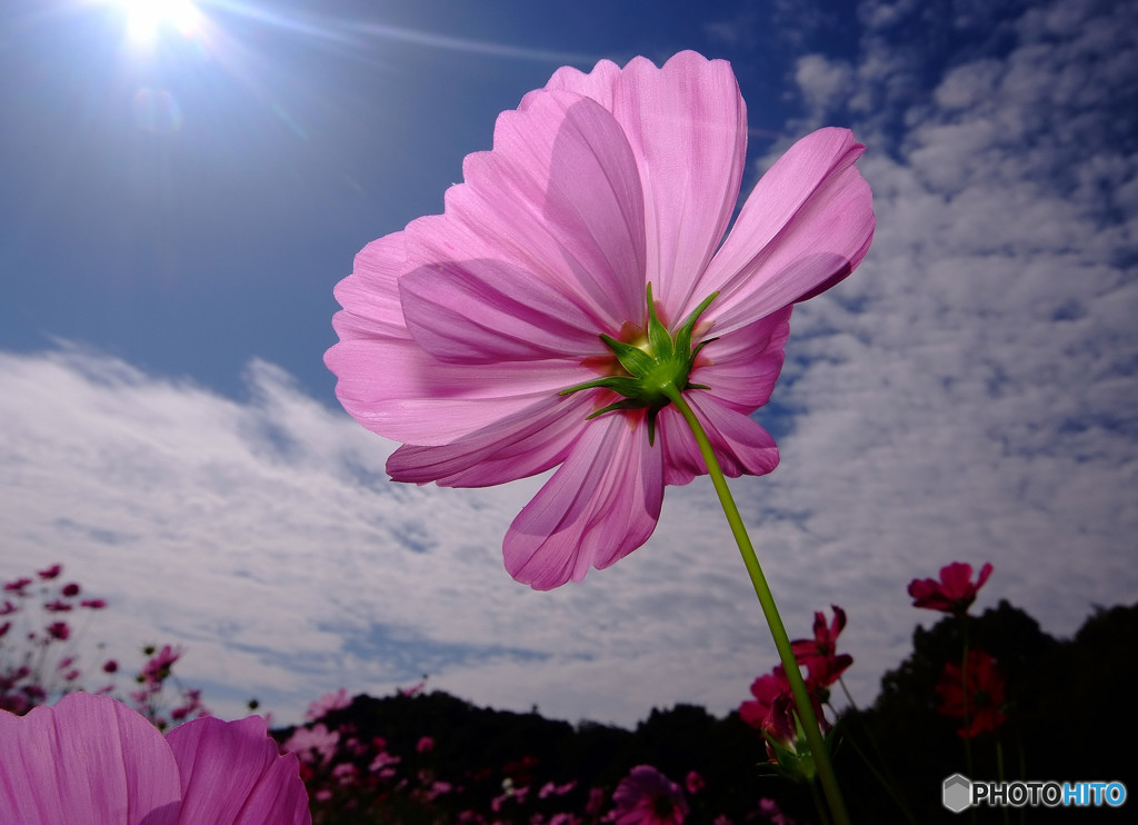 MY STORY・秋の旅人