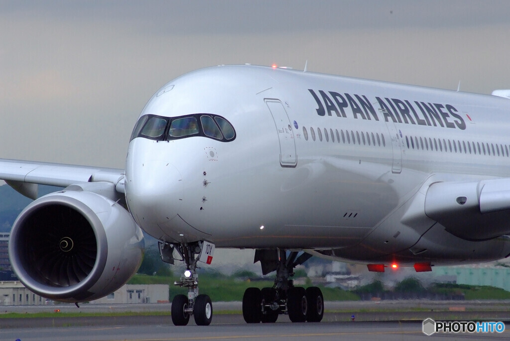 May Afternoon✈JA10XJ