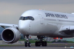 May Afternoon✈JA10XJ