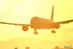 Silhouette RomanceⅤ・煌