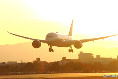 December journeyⅡ✈Boeing787-8