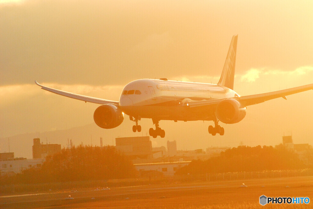 Christmas Star2022✈Boeing 787