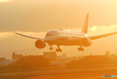 Christmas Star2022✈Boeing 787