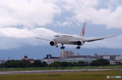 Morning Show✈JA601J