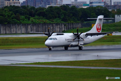 Rain Airport・JA03JC