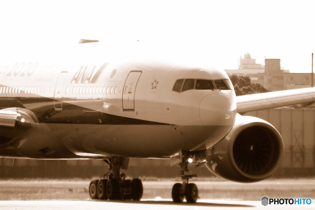 8月の旅へⅣ✈2020