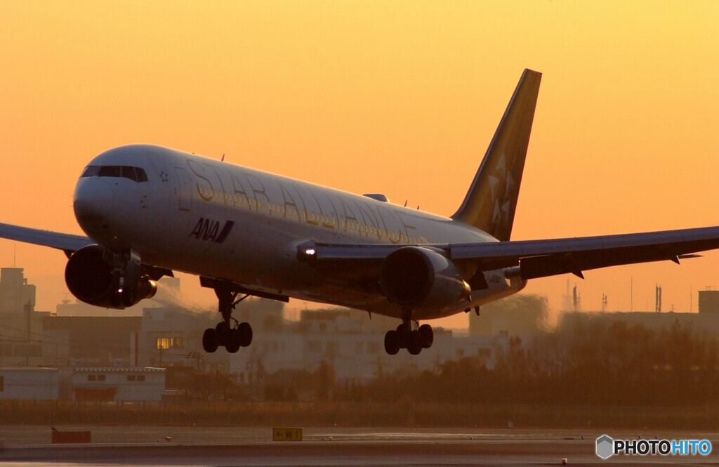 December Beauty✈JA614A