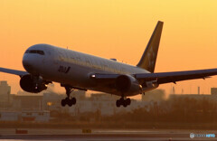 December Beauty✈JA614A