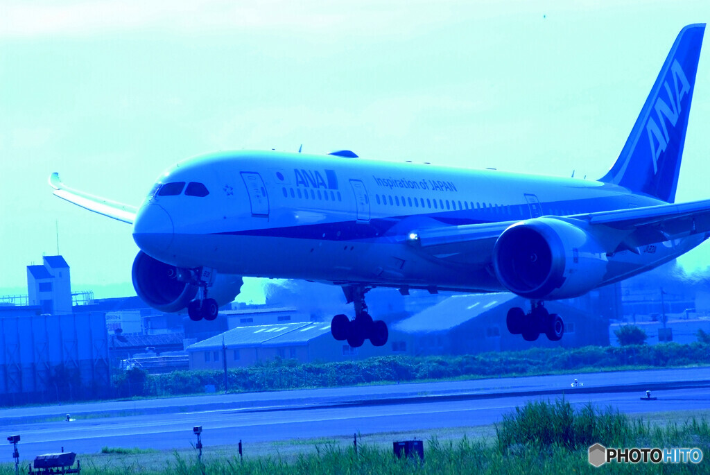 蒼の飛翔✈Boeing 787-8 Dreamliner