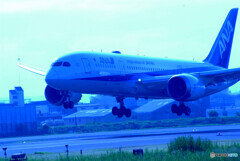 蒼の飛翔✈Boeing 787-8 Dreamliner