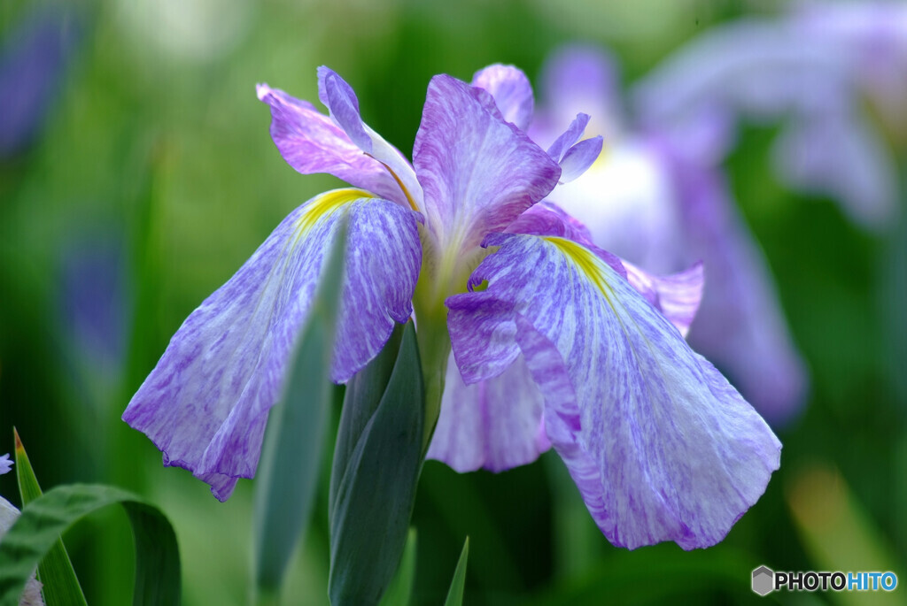 また来年会いましょう✿終焉2023