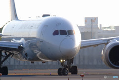 Ｎew Ｆace・JA831J