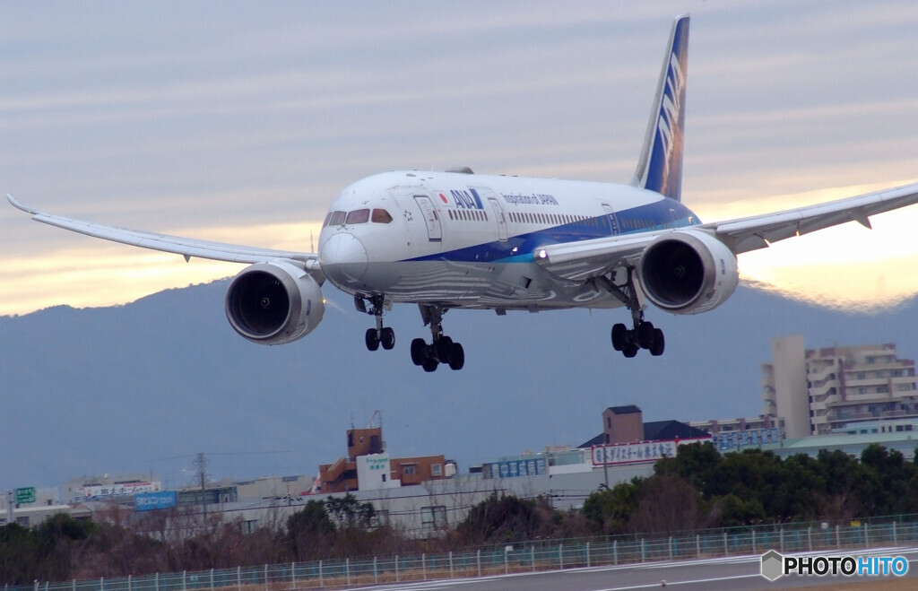 JAPANの朝Ⅷ✈Boeing 787-8