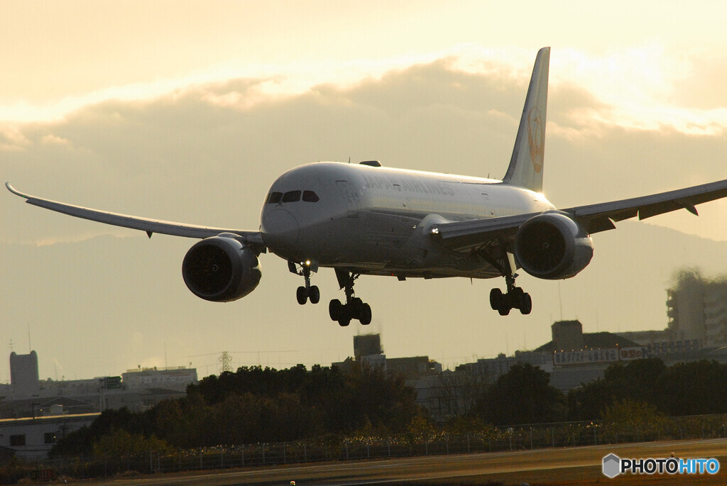 Sunday MorningⅢ✈Boeing787-8