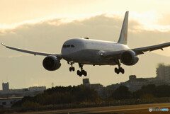 Sunday MorningⅢ✈Boeing787-8