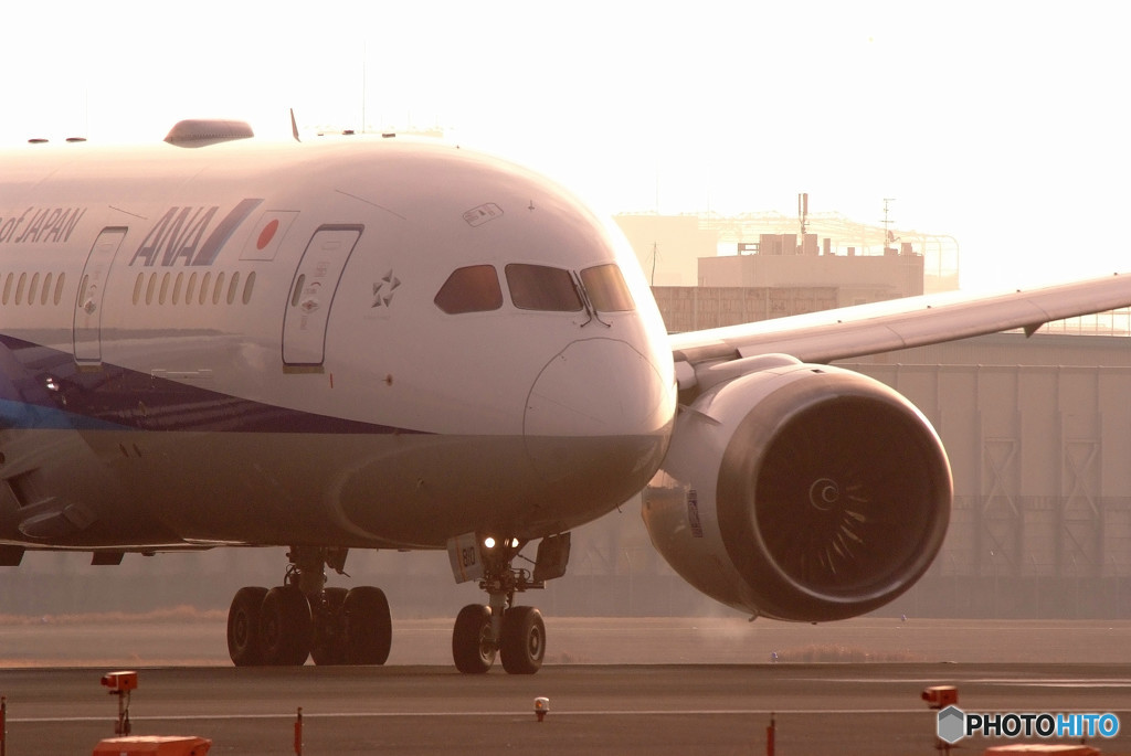 春色に誘われて・787