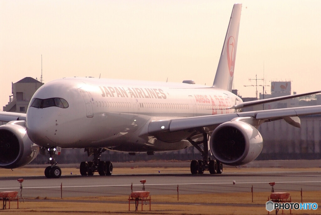 February TravelerⅤ✈JA01XJ