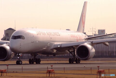 February TravelerⅤ✈JA01XJ