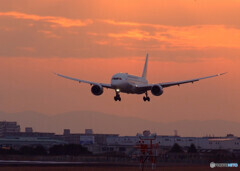 Beautiful Morning・787