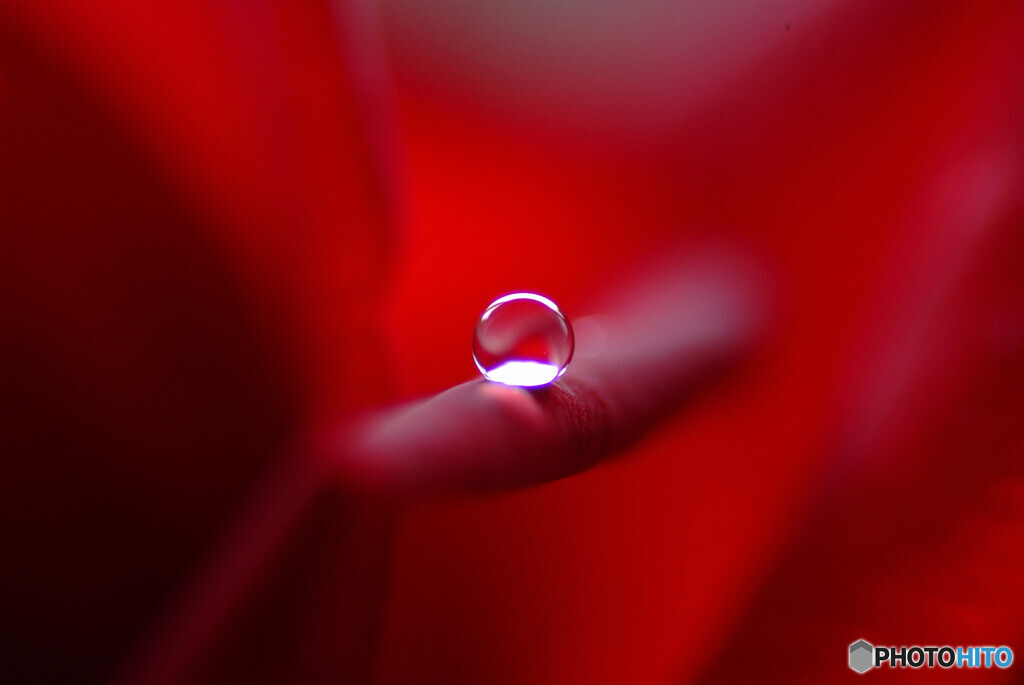 遥かなる惑星・雫