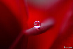 遥かなる惑星・雫