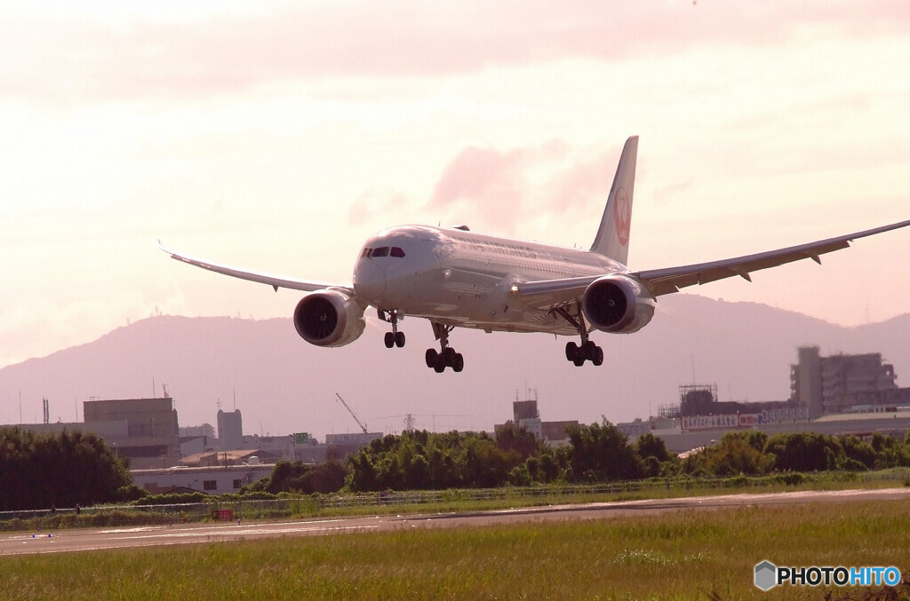 俺の秋空✈787Dreamliner