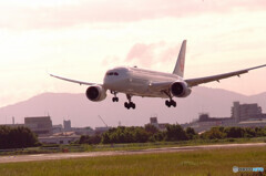 俺の秋空✈787Dreamliner