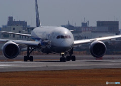 787-8 Dreamliner・出撃！