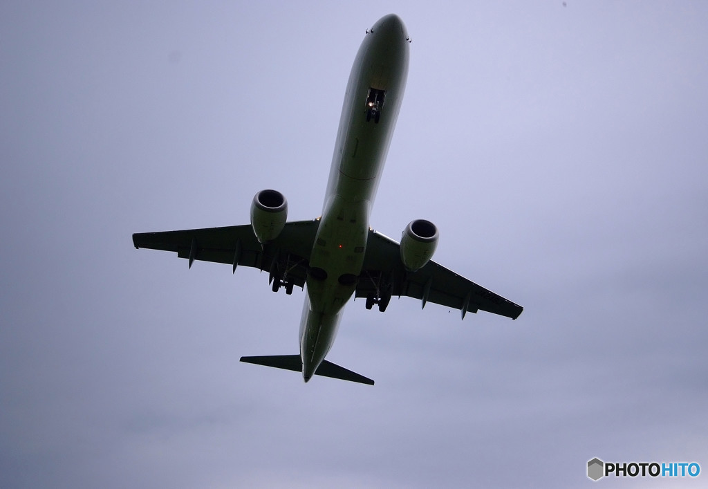 見上げれば奴がいた！