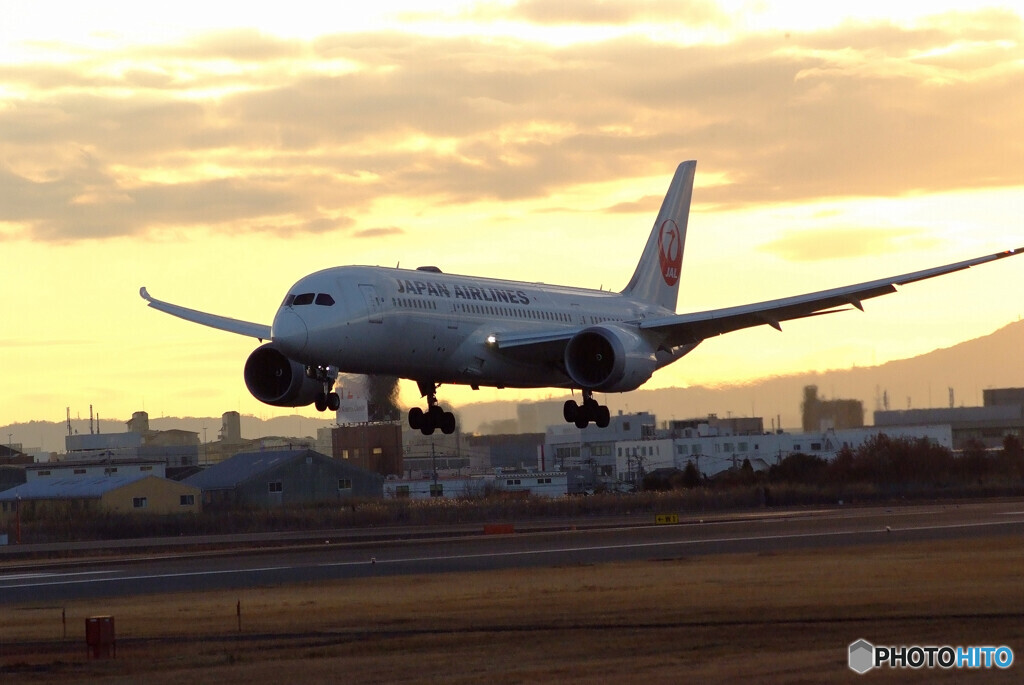 嘉月の朝✈Boeing787-8