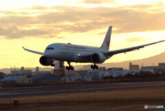 嘉月の朝✈Boeing787-8