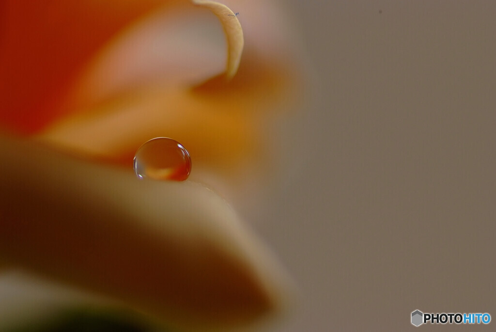 一粒の涙✿夏雫