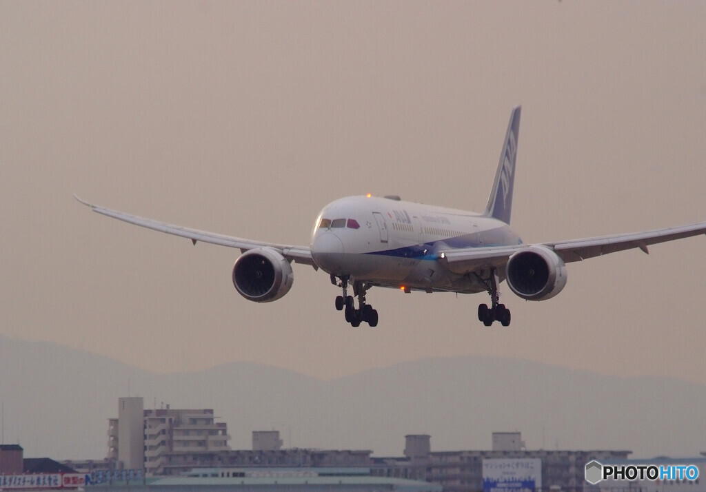 春色に誘われて✈787-8